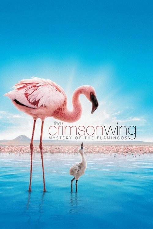 The Crimson Wing: Mystery of the Flamingos (2008) movie poster
