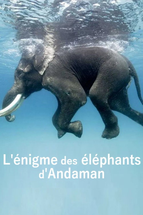 L'énigme des éléphants d'Andaman (2023) movie poster