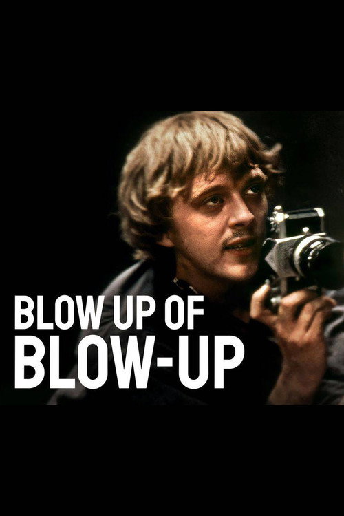 Blow Up of 'Blow-Up' (2016) movie poster