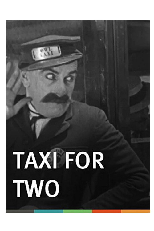 Taxi for Two (1928) movie poster