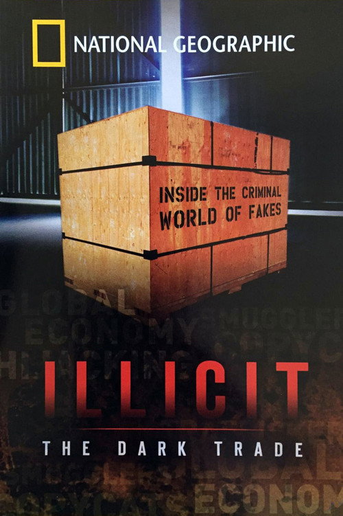 Illicit: The Dark Trade (2008) movie poster