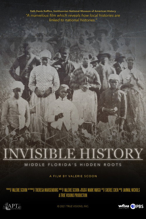 Invisible History: Middle Florida's Hidden Roots (2021) movie poster