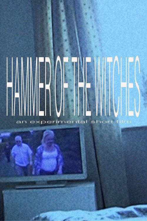Hammer of the Witches (2024) movie poster