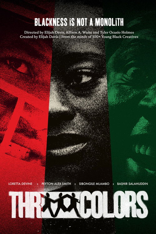 Three Colors: Pan-African (2026) movie poster