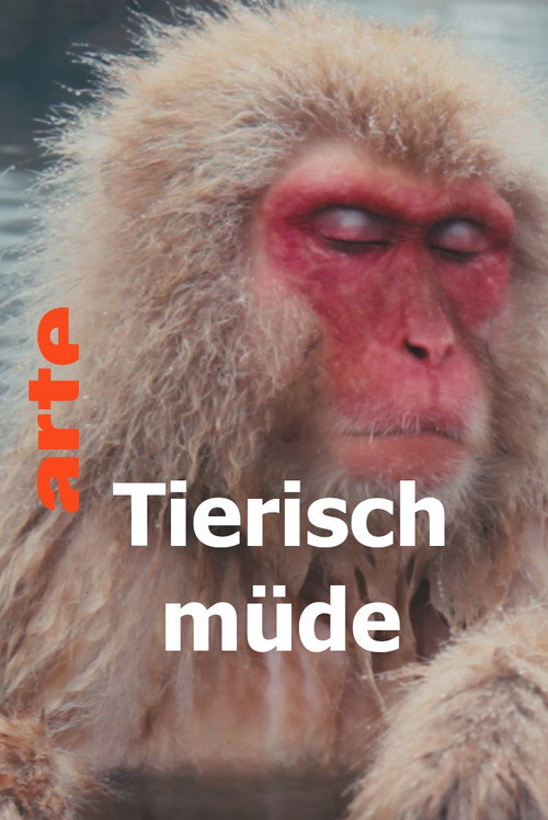Tierisch müde - Das Rätsel Schlaf (2022) movie poster
